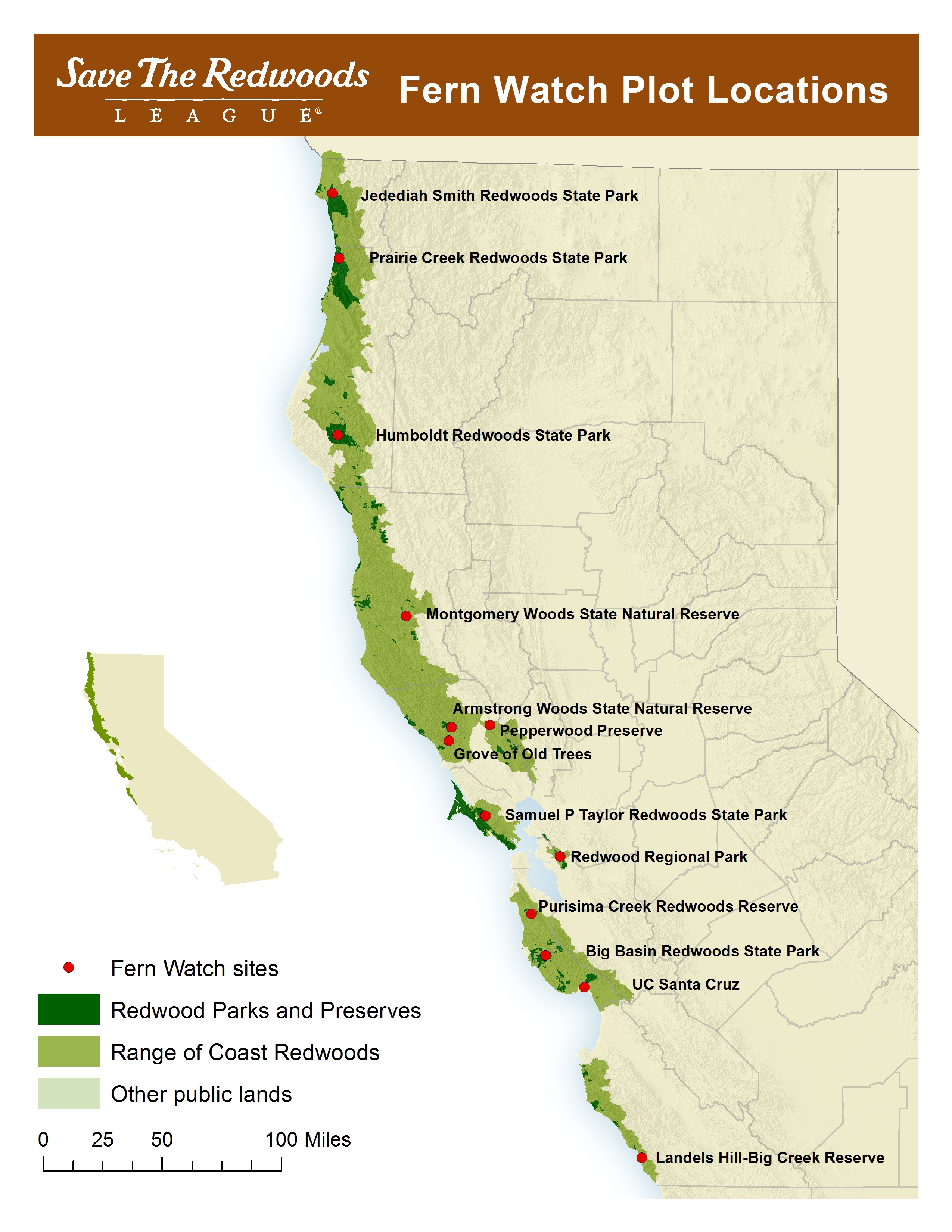 Fernwatch Research Plots