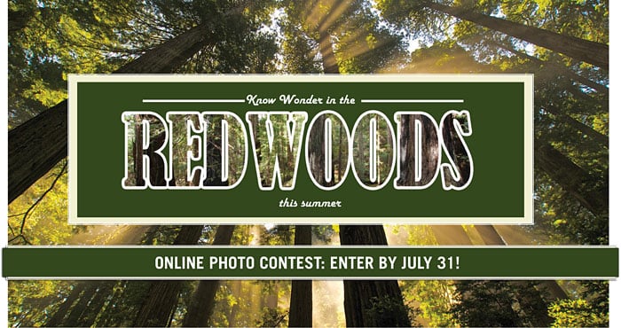 Visit a redwood park, capture your trip with a camera, then enter our photo contest! Photo by Jon Parmentier, finalist in the 2010 Online Photo Contest.