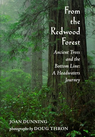 From the Redwood Forest, Ancient Trees and the Bottom Line: A Headwaters Journey