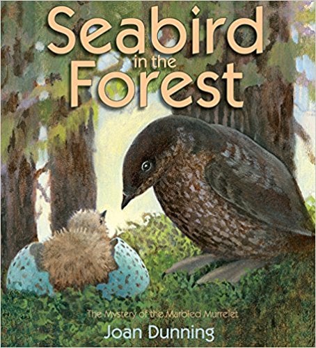 Seabird in the Forest