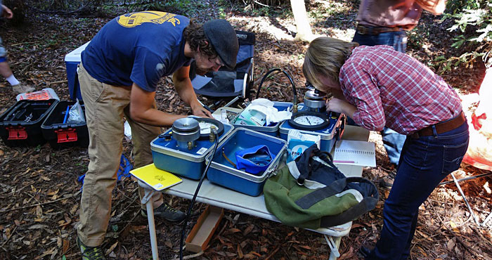 Scientists examine clippings in a pressure chamber. The more pressure needed to draw water from the clipping, the thirstier the tree.