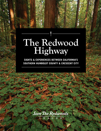 Redwood Highway Guide Redwood Highway Guide