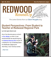 Redwood Roundup