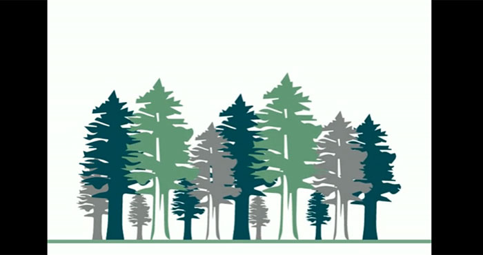 Click on the link below to see the digitally animated public service announcement about Save the Redwoods League.
