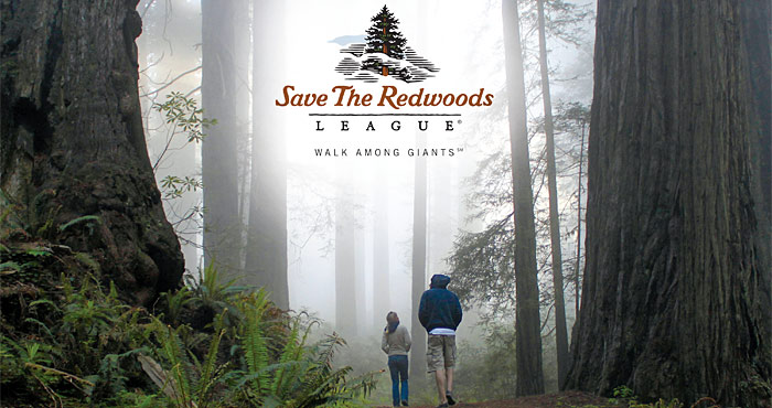 Photo by Save the Redwoods League