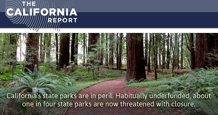 Photo by Save the Redwoods League