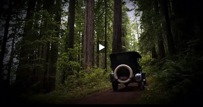 Photo by Save the Redwoods League