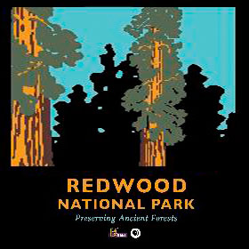 Photo by Save the Redwoods League