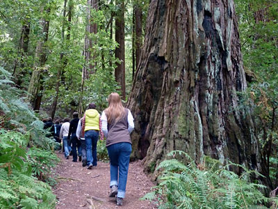 Service was reduced at Samuel P. Taylor State Park because of state budget cuts.
