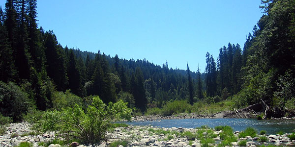 Grizzly Creek Redwoods State Park is on the closure list. Photo by 24thcentury, Flickr Creative Commons