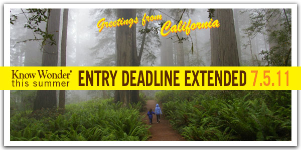 Photo by Save the Redwoods League