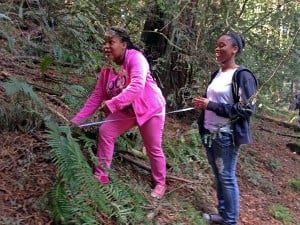 Students measure fern fronds through a Save the Redwoods League education program at Redwood Regional Park. Photo ©Save the Redwoods League.
