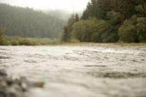 Redwood Creek flows through Redwood National and State Parks before reaching the ocean.