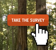 Photo by Save the Redwoods League