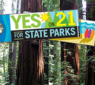 Photo by Save the Redwoods League
