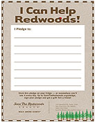 Save the Redwoods League Education Materials: Pledge Card