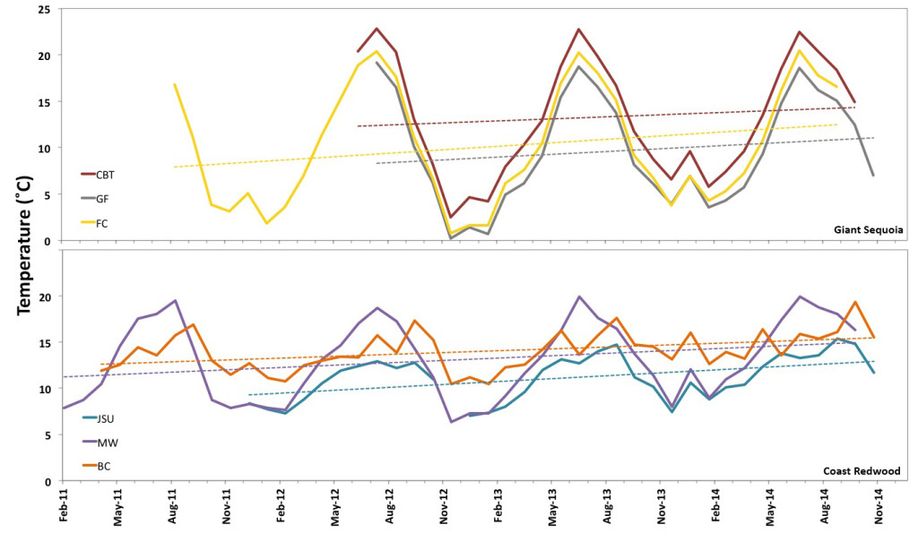 Since 2011, forest air temperature has warmed. This graph shows the average monthly temperature at the redwood treetop in coast redwood and giant sequoia forests. The top graph is from the giant sequoia forests at Calaveras Big Trees (CBT), Giant Forest (GF) and Freeman Creek (FC). The bottom graph is from coast redwood forests at Jedediah Smith Redwoods State Park (JSU), Montgomergy Woods State Natural Reserve (MW) and Landels-Hill Big Creek Reserve (BC).
