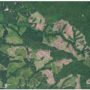 Recent redwood forest clearcuts on industrial timberland adjacent to Redwood National Park (in the upper right corner). Riparian buffers required by California’s Forest Practice Rules are visible as forest retention between clearcuts. Photo source: USDA Farm Service Agency