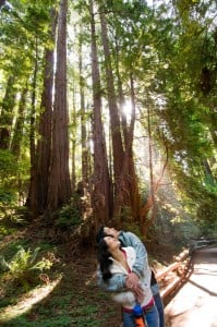 Plan your romantic getaway to the redwoods! Photo by Paolo Vescia