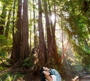 Couple hiking in a redwood forest