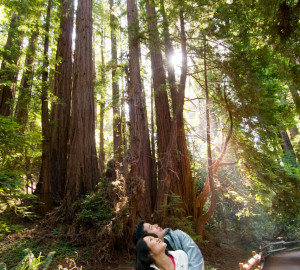 Couple hiking in a redwood forest