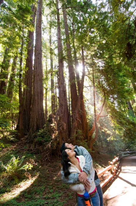 Couple hiking in a redwood forest