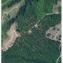 Industrial timberland is deeply divided by logging roads. Image Source: USDA Farm Service