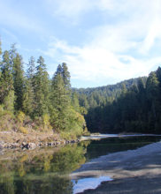 Smith River at Jedediah Smith Redwoods State Park. Photo by daveynin, Flickr Creative Commons