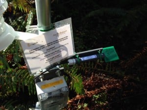 A weather station at Jedediah Smith Redwoods State Park is wet on the forest floor even during this super dry winter.