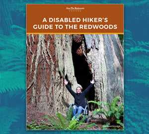 A Disabled Hiker’s Guide to the Redwoods