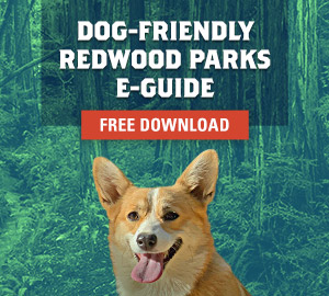 Free Dog-Friendly Redwood Parks Guide