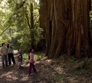 Reconnecting families and future generations to nature is a critical priority. Photo by Paolo Vescia.