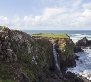 By the end of 2019, a public trail will traverse the dramatic coastal terrace for almost a mile, providing visitors with a gorgeous view. An easement will grant the Kashia Band of Pomo Indians permanent access to hold ceremonies on the bluff, overlooking the creation place of their people. Photo by Mike Kahn