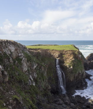 By the end of 2019, a public trail will traverse the dramatic coastal terrace for almost a mile, providing visitors with a gorgeous view. An easement will grant the Kashia Band of Pomo Indians permanent access to hold ceremonies on the bluff, overlooking the creation place of their people. Photo by Mike Kahn