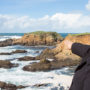 Martina Morgan, Vice Chairwoman, Kashia Band of Pomo Indians, looks out over the rocky shoreline at Stewarts Point. Save the Redwoods League is granting a cultural easement to the Kashia providing access in perpetuity to their sacred lands on this coastal bluff. Photo by Mike Kahn
