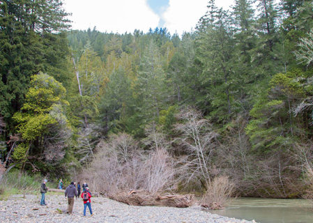 On its eastern edge, the Stewarts Point property winds along approximately 1.7 miles of the steelhead-bearing Gualala River. Photo by Mike Kahn