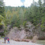 On its eastern edge, the Stewarts Point property winds along approximately 1.7 miles of the steelhead-bearing Gualala River. Photo by Mike Kahn