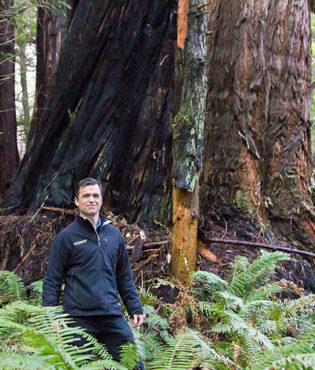 Sam Hodder, Save the Redwoods League President and CEO, stands by a magnificent old redwood in the 175-acre old-growth Restoration Reserve. The Reserve will safeguard the old trees and allow younger trees to grow larger. Photo by Mike Kahn