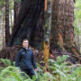 Sam Hodder, Save the Redwoods League President and CEO, stands by a magnificent old redwood in the 175-acre old-growth Restoration Reserve. The Reserve will safeguard the old trees and allow younger trees to grow larger. Photo by Mike Kahn