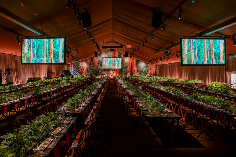 A long hall filled with elegant tables set for dining, decorated with ferns, warm lighting, and LED screens displaying redwood forests.