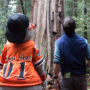 Giants mascot Lou Seal and League President Sam Hodder together at Big Basin Redwoods State Park. Photo by Mike Kahn, Save the Redwoods League