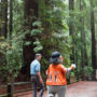 Giants mascot Lou Seal and League President Sam Hodder together at Big Basin Redwoods State Park. Photo by Mike Kahn, Save the Redwoods League