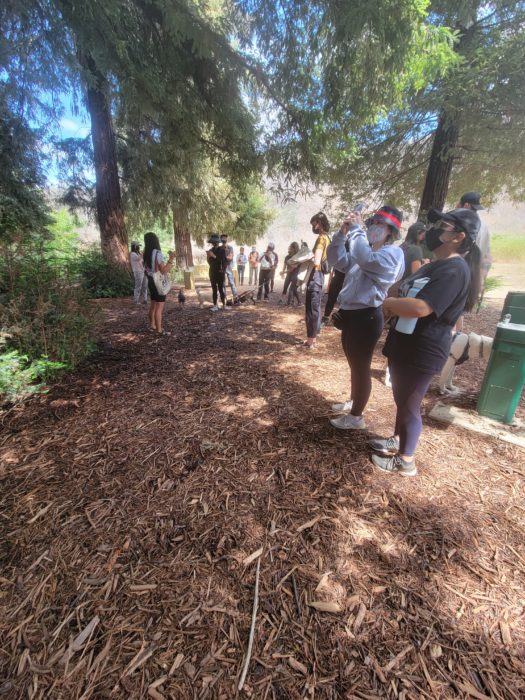 A group of young people of color standing in a young redwood grove