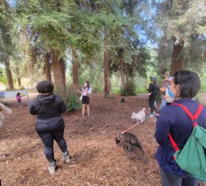 Breezing through SoCal redwoods with Outdoor Asian