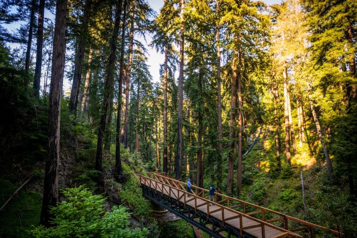 Pfeiffer Falls Trail walkway