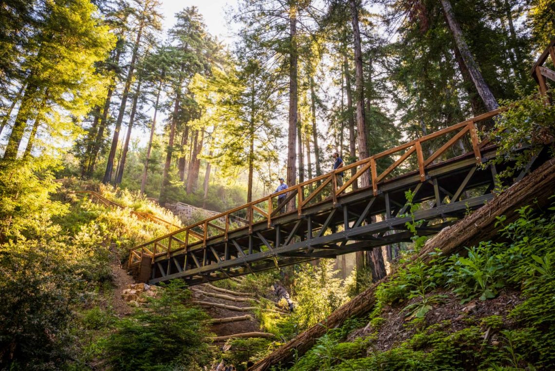 Pfeiffer Falls Trail walkway