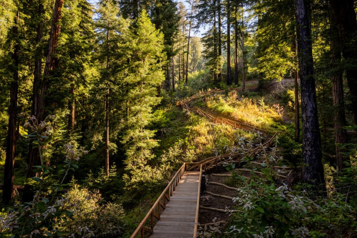 Pfeiffer Falls Trail walkway