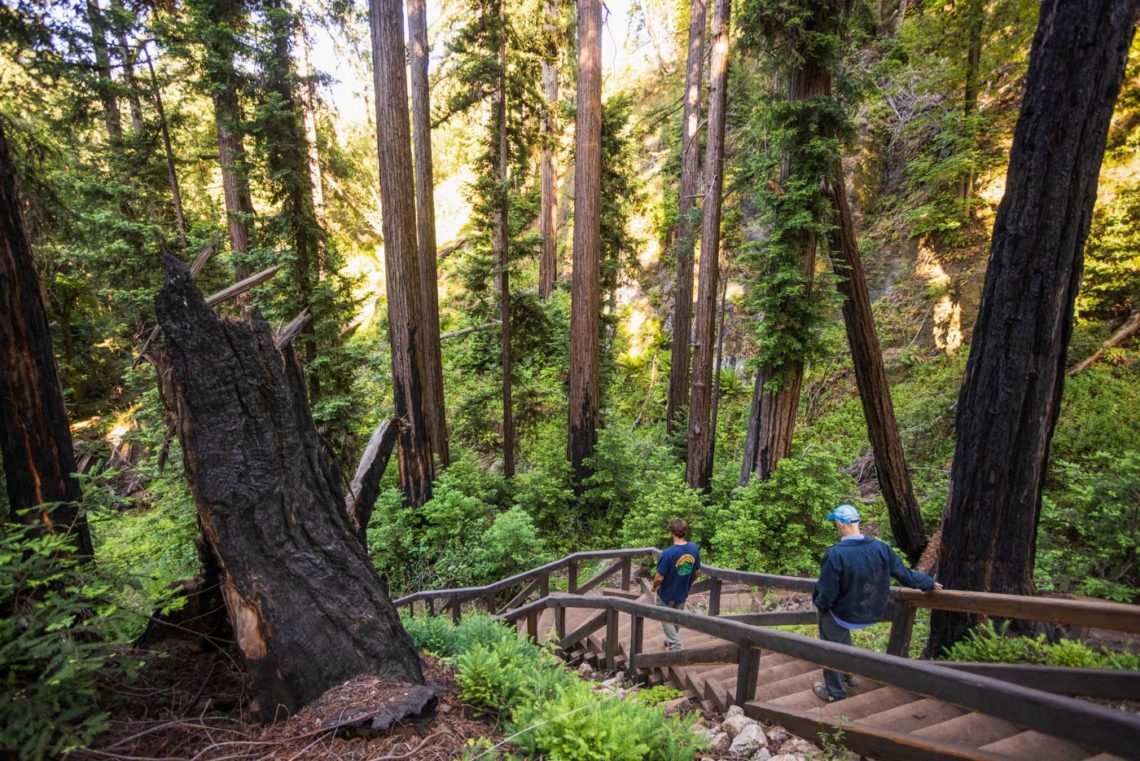 Pfeiffer Falls Trail walkway