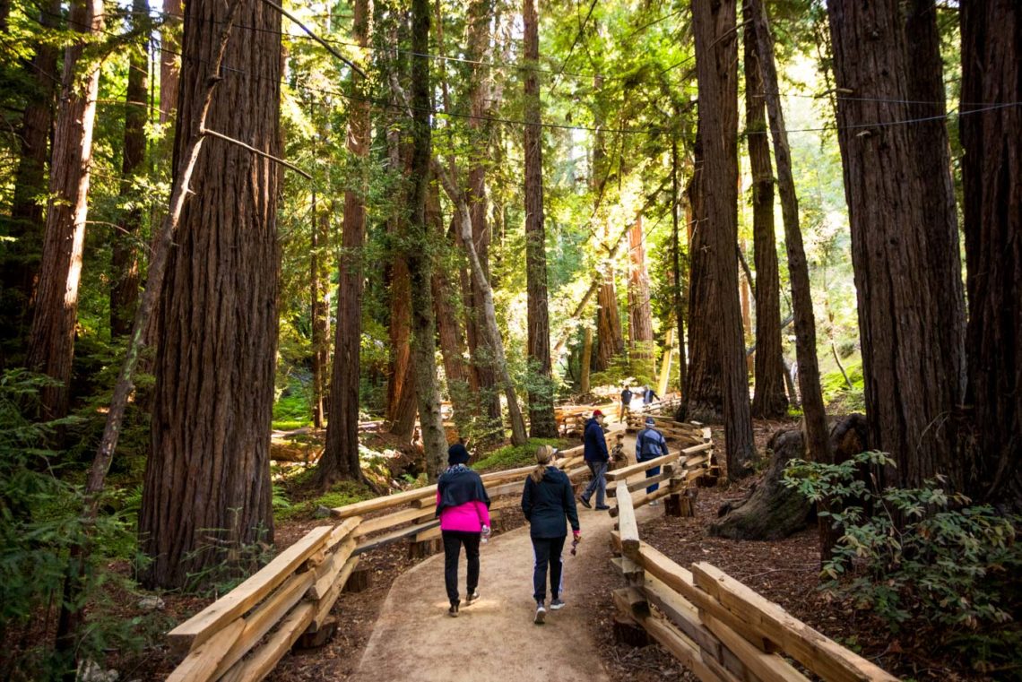 Pfeiffer Falls Trail walkway