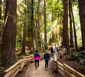 Pfeiffer Falls Trail walkway